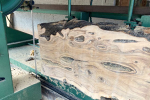 The Sawmill