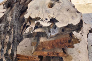 The Sawmill