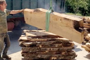 The Sawmill