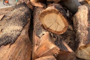The Sawmill